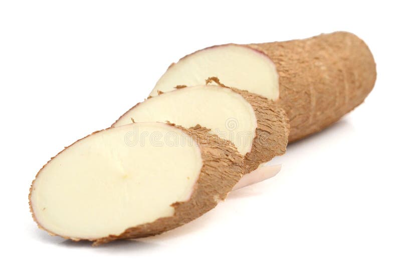 Raw yucca on white background-Manihot esculenta. Cassava raw tuber. Nutritional, oceania. Raw yucca on white background-Manihot esculenta. Cassava raw tuber. Nutritional, oceania.